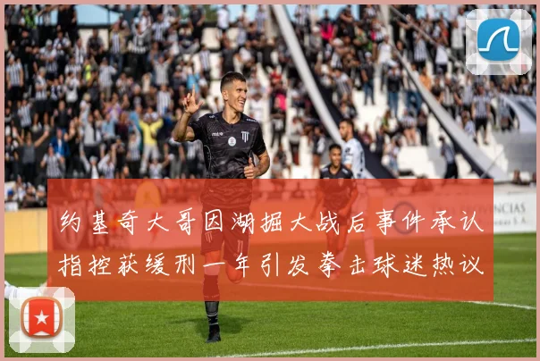 约基奇大哥因湖掘大战后事件承认指控获缓刑一年引发拳击球迷热议