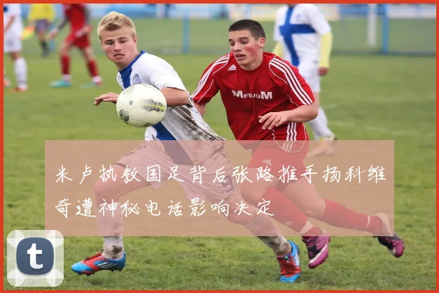 米卢执教国足背后张路推手扬科维奇遭神秘电话影响决定