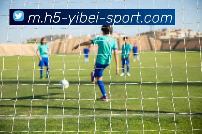 App Interface Preview