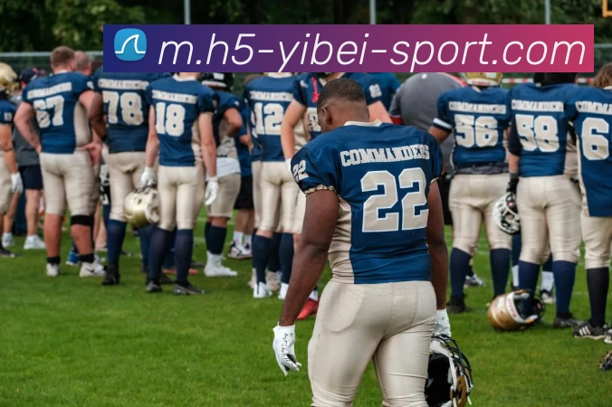 易倍体育APP 封面图